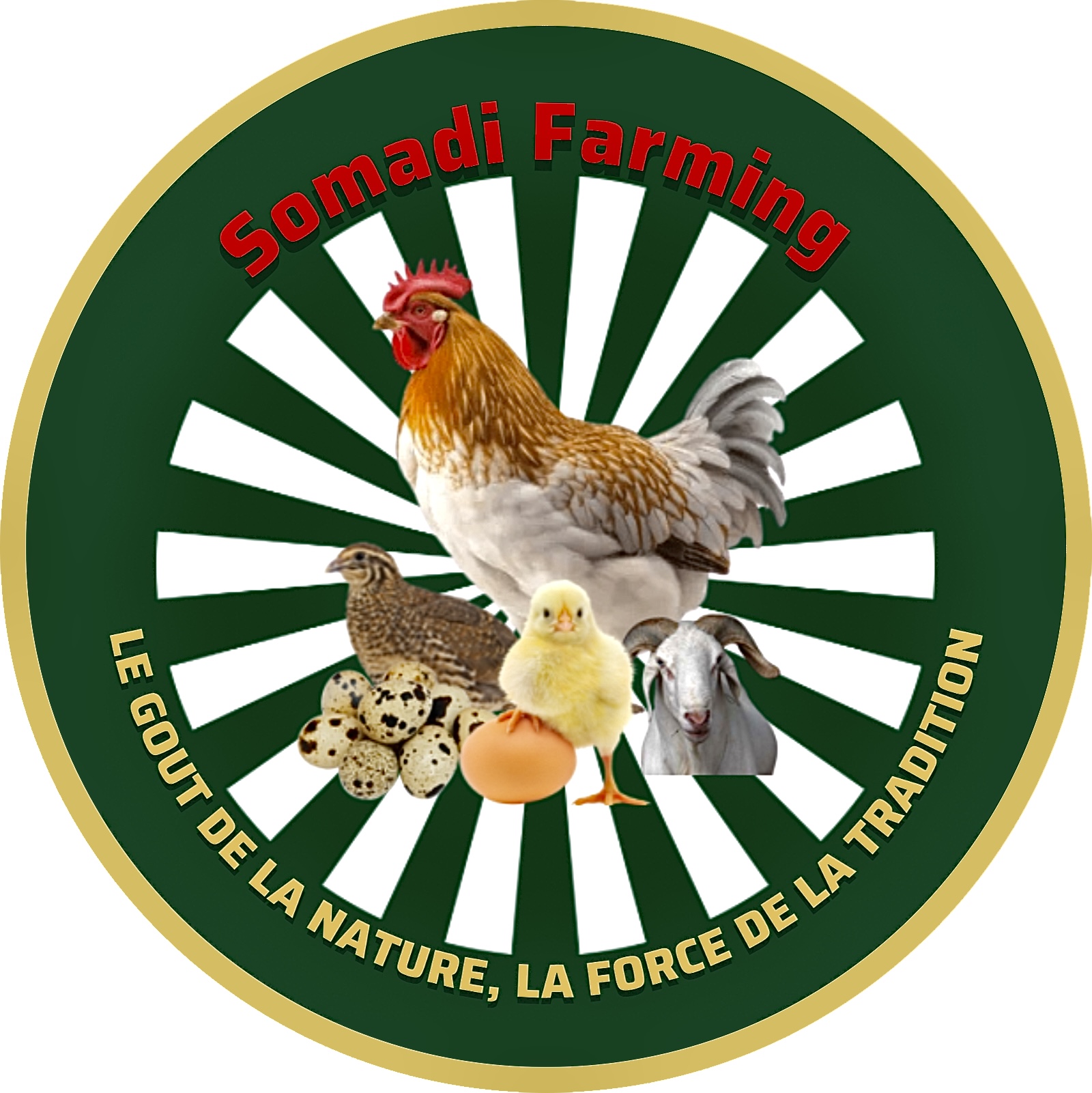 Logo SOMADI FARMING